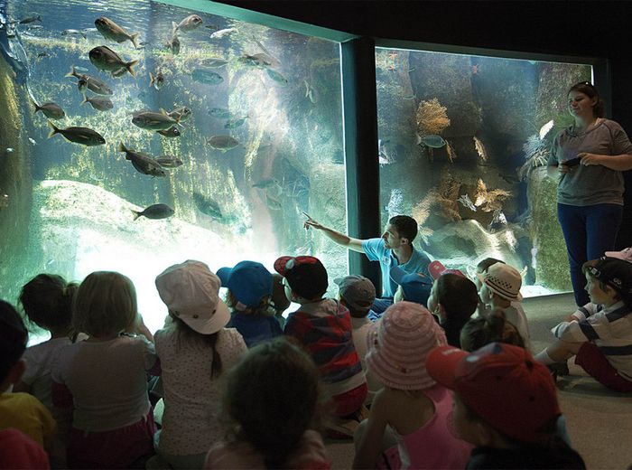 Activités à Trégastel : L'aquarium