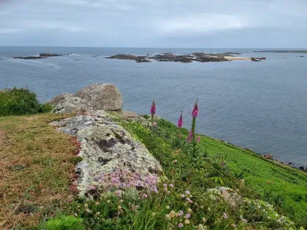 Vue sur l'ile Molène